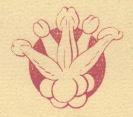 Sexy secret symbols in old engravings